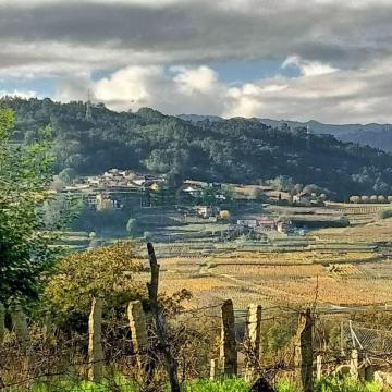 casa con finca en el Ribeiro