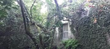 CASA PIEDRA RIBEIRO con terreno