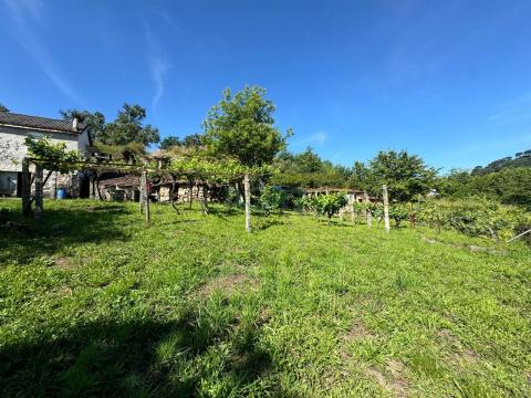 Venta - Ourense - O Fonsillón - C000837