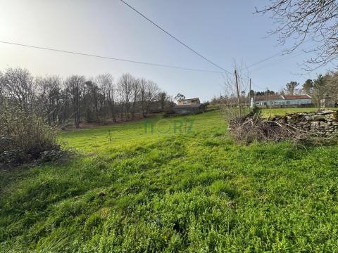 Venta - Piñor - C001023