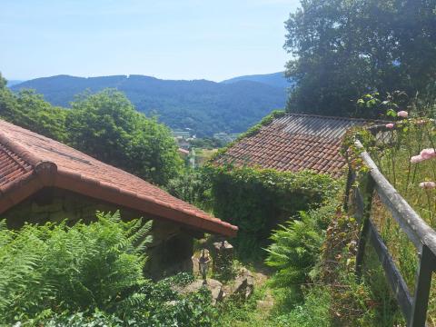 CASA CON FINCA INDEPENDIENTE EN RIBADAVIA