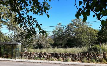 TERRENO EDIFICABLE EN PAZOS VILAMARIN