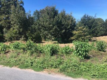 Venta - Pereiro de Aguiar (O) - S000045