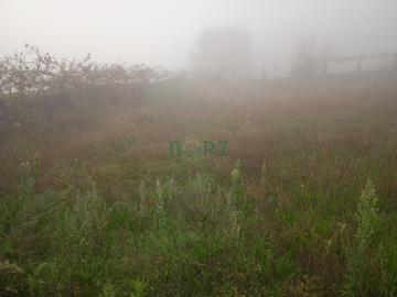 Venta - Pereiro de Aguiar (O) - S000040