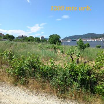 FINCA URBANIZABLE EN OURENSE