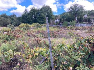 Venta - Pereiro de Aguiar (O) - S000077