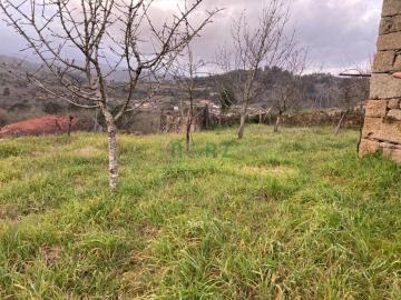 SOLAR URBANIZABLE CON VISTAS AL RIBEIRO