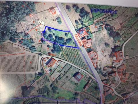 PARCELA AGRARIA CON POZO