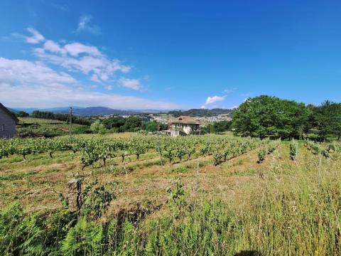 PARCELA URBANIZABLE EN CENLLE