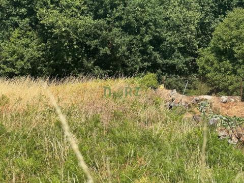 Venta - Pereiro de Aguiar (O) - S000154